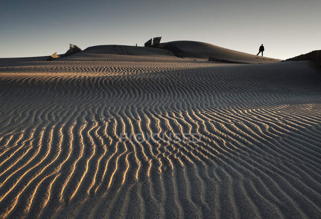 Силует людина на Dune — стокове фото