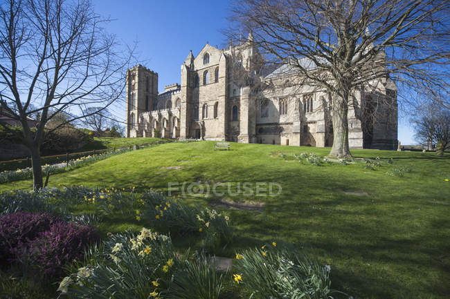 Building With Landscaped Grounds — Stock Photo
