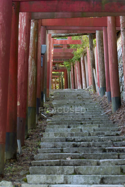 Тори Гейтс и каменная лестница. Коясан, Вакаяма, Япония — стоковое фото