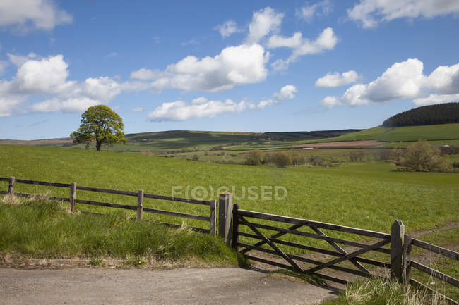 Fence and gate on edge — Stock Photo