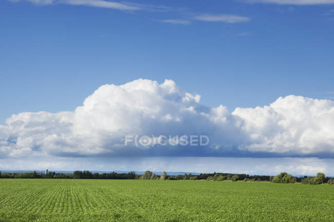 Ondas de nubes con cielo azul - foto de stock