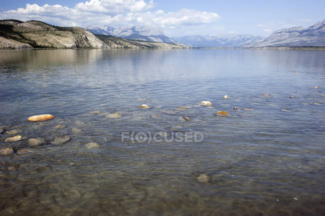 Athabasca fiume e montagne in lontananza — Foto stock