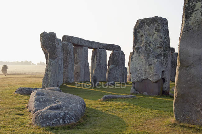 Standing stones on field — Stock Photo