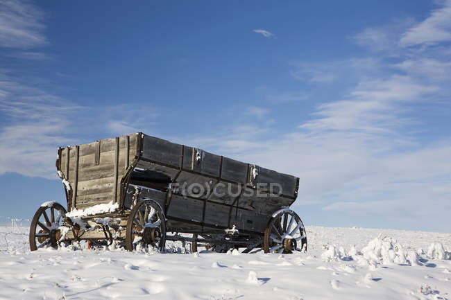 Un viejo vagón de madera - foto de stock