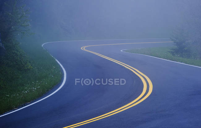 Una curva nella strada in una mattina nebbiosa — Foto stock