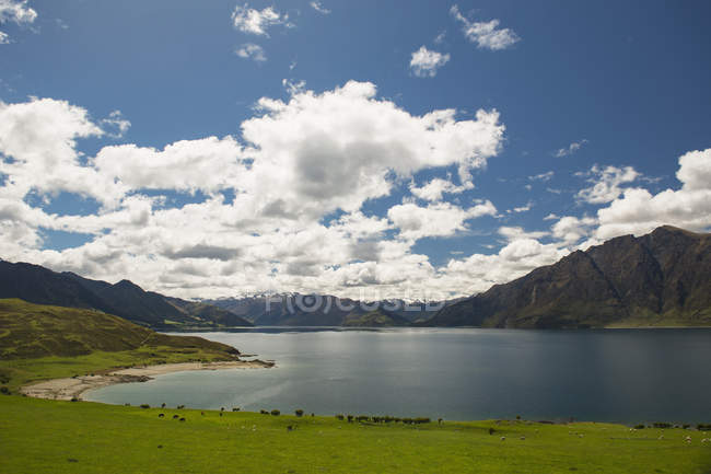 Lago Wanaka; Isla Sur - foto de stock