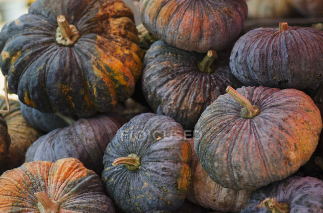Pumpkins for sale at a market outdoors — Stock Photo