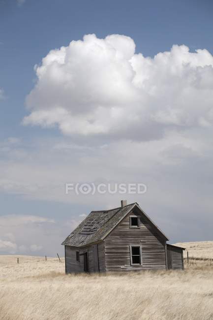 Vecchia casa di legno in campo — Foto stock