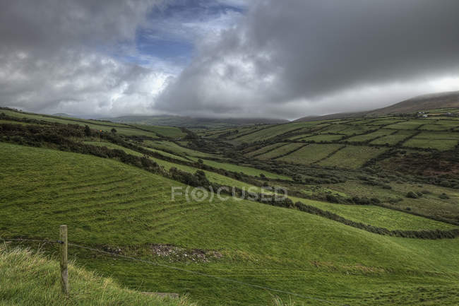 Green Rural Landscape — Stock Photo