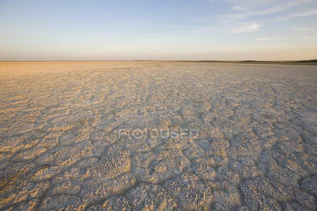 Tierra seca durante el día - foto de stock