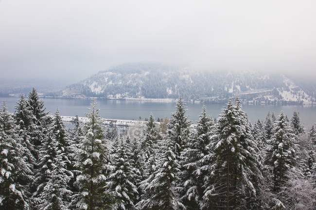 First Winter Snow In Columbia River — Stock Photo