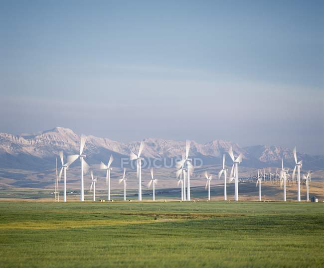 Ветряные турбины на зеленой траве — стоковое фото
