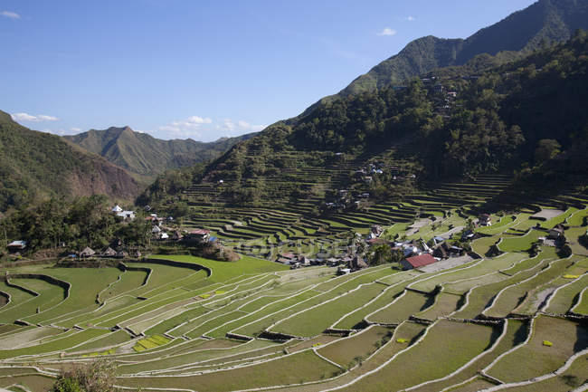 Stone-Walled Rice Terraces — Stock Photo