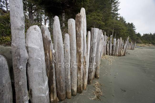 Fence from wooden logs — Stock Photo