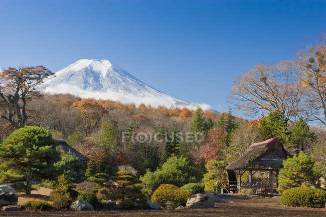 Vista del Monte Fuji da un giardino giapponese — Foto stock