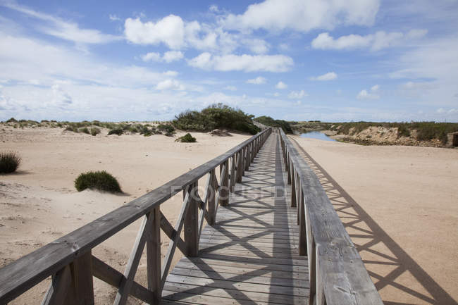 Деревянная дорожка на пляже — стоковое фото