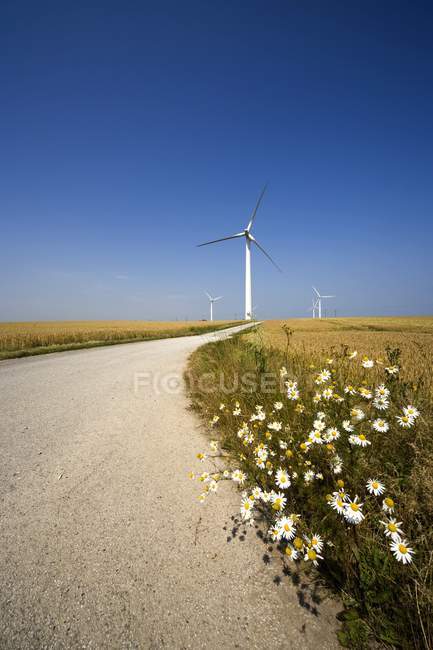 Éolienne sur le terrain — Photo de stock