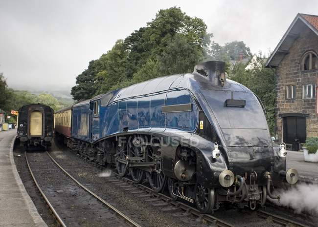 Locomotiva a vapore Sir Nigel Gresley — Foto stock