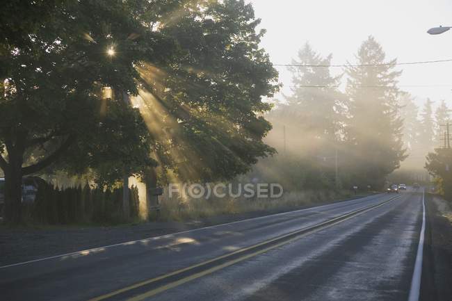Rayos de sol en carretera - foto de stock
