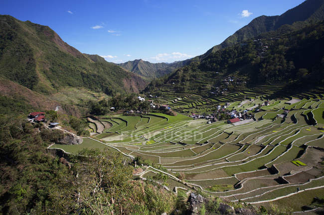 Terraços de arroz cercam a aldeia — Fotografia de Stock