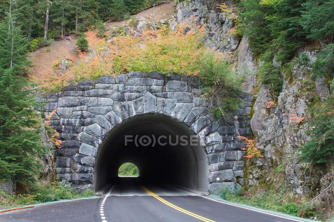 Túnel, Parque Nacional Monte Rainier - foto de stock