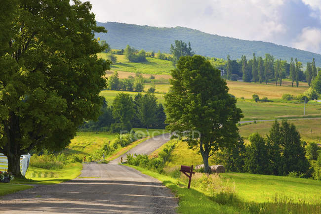 Country Road In Early Morning Light — Stock Photo