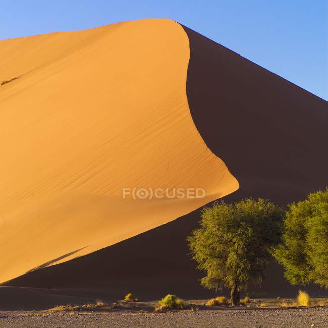 Duna de arena, Namibia - foto de stock