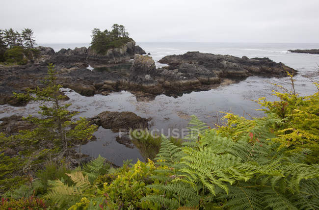 Paisagem costeira ao longo da trilha do Pacífico — Fotografia de Stock
