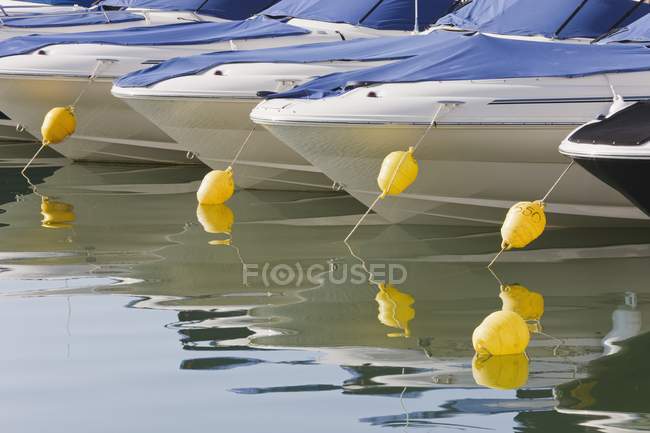 Лодки пришвартованы в доке — стоковое фото