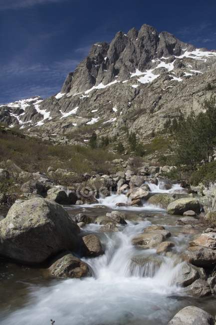 Arroyo de montaña río - foto de stock
