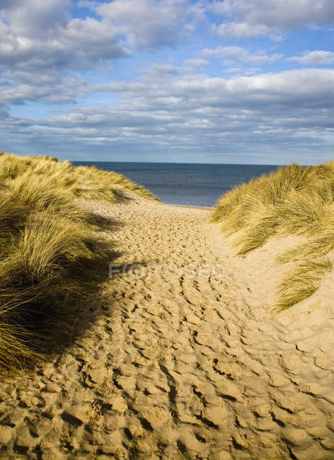 Sentiero di sabbia alla spiaggia — Foto stock