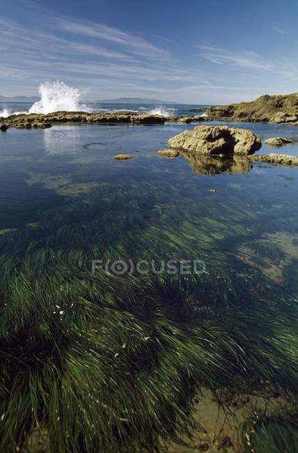 Wave Splashing On Rocks — Stock Photo