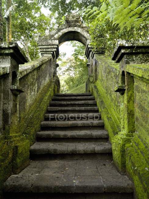 Каменная лестница из мха — стоковое фото