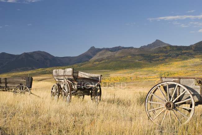 Vieux Wagons sur champ grasse — Photo de stock