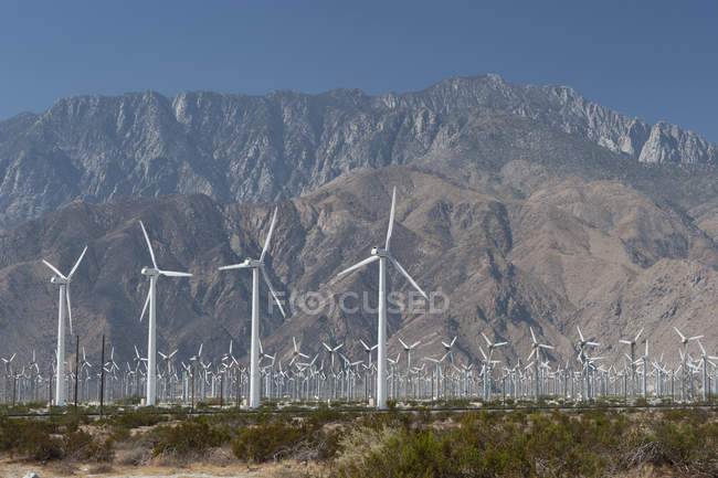 Grande ferme éolienne — Photo de stock