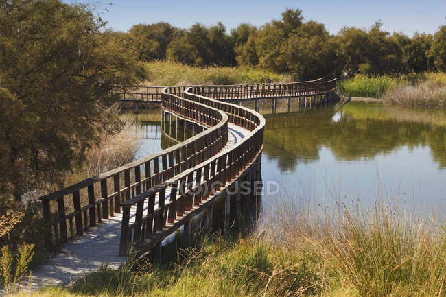 Wooden Walkways Through The Tablas De Daimiel National Park; Ciudad, Real Province, La Mancha, Spain — Stock Photo
