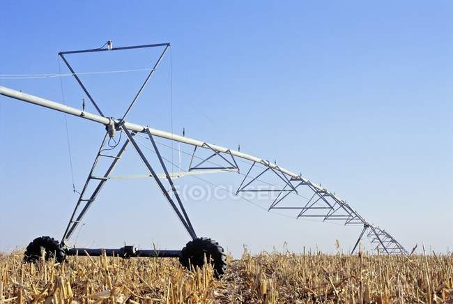 Sprikler-Bewässerung im Feld — Stockfoto