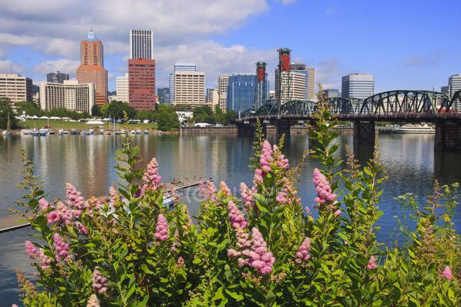 A cidade de Portland e Willamette River — Fotografia de Stock