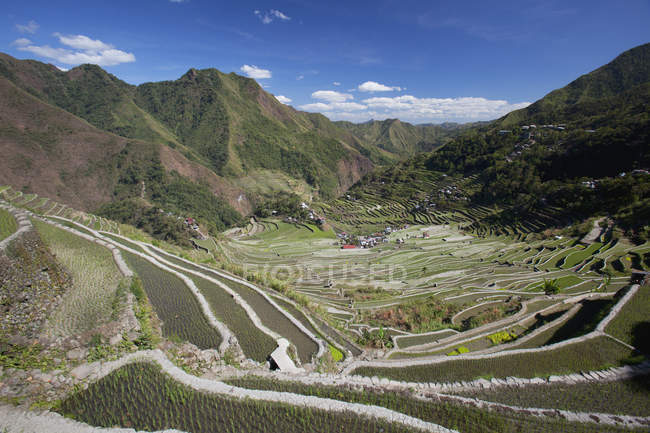 Stone-Walled Rice Terraces — Stock Photo