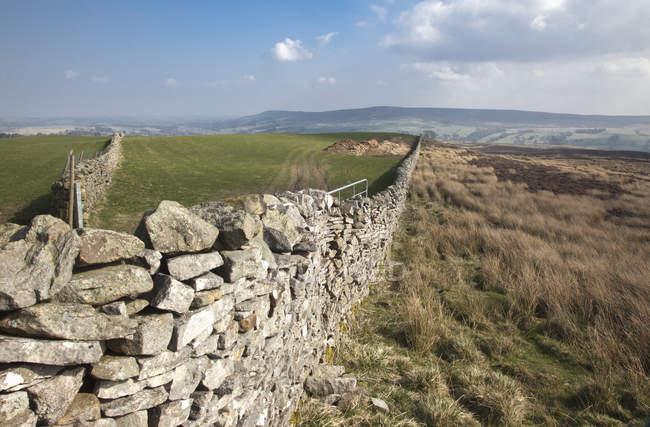 Каменный забор вдоль пейзажа — стоковое фото