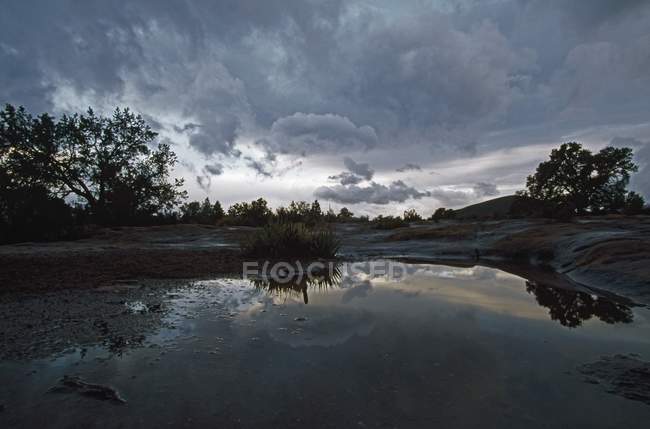 Басейн з дощем в оточенні дерев — стокове фото