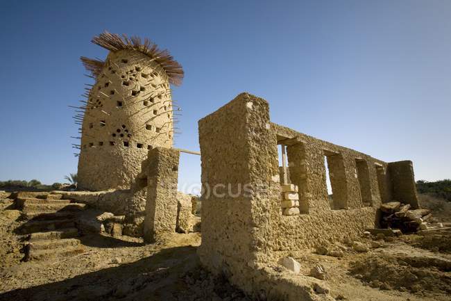 Casa de pombo de tijolo de lama — Fotografia de Stock