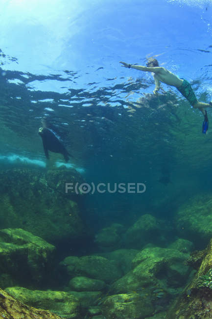 Touristisches Schwimmen unter Wasser — Stockfoto
