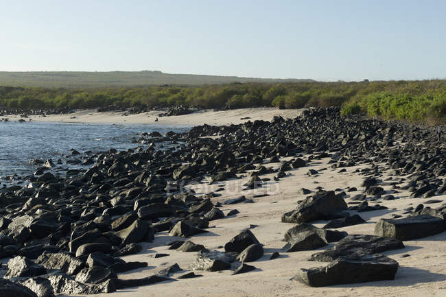 Rocas en la playa contra el agua - foto de stock