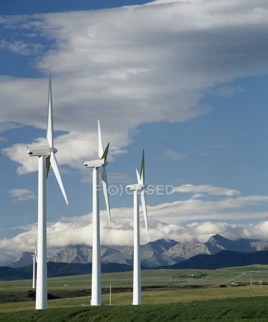 Turbinas eólicas em campo — Fotografia de Stock