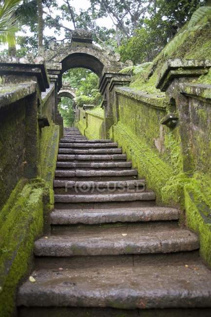 Кам'яні сходи в moss — стокове фото