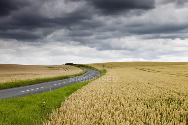 Straße schlängelt sich zwischen Feldern — Stockfoto