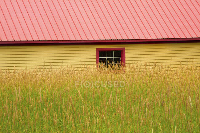 Желтый сарай с красной крышей — стоковое фото