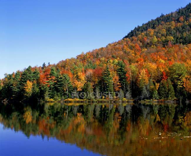 Herbstfarben spiegeln sich am See wider — Stockfoto