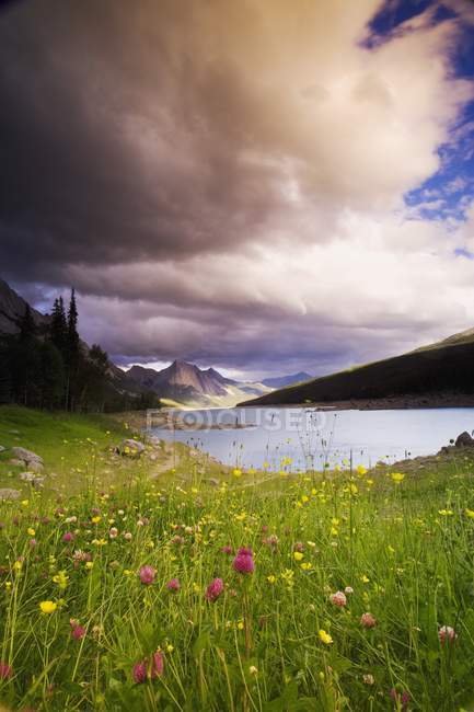 Beautiful Mountain Scene — Stock Photo